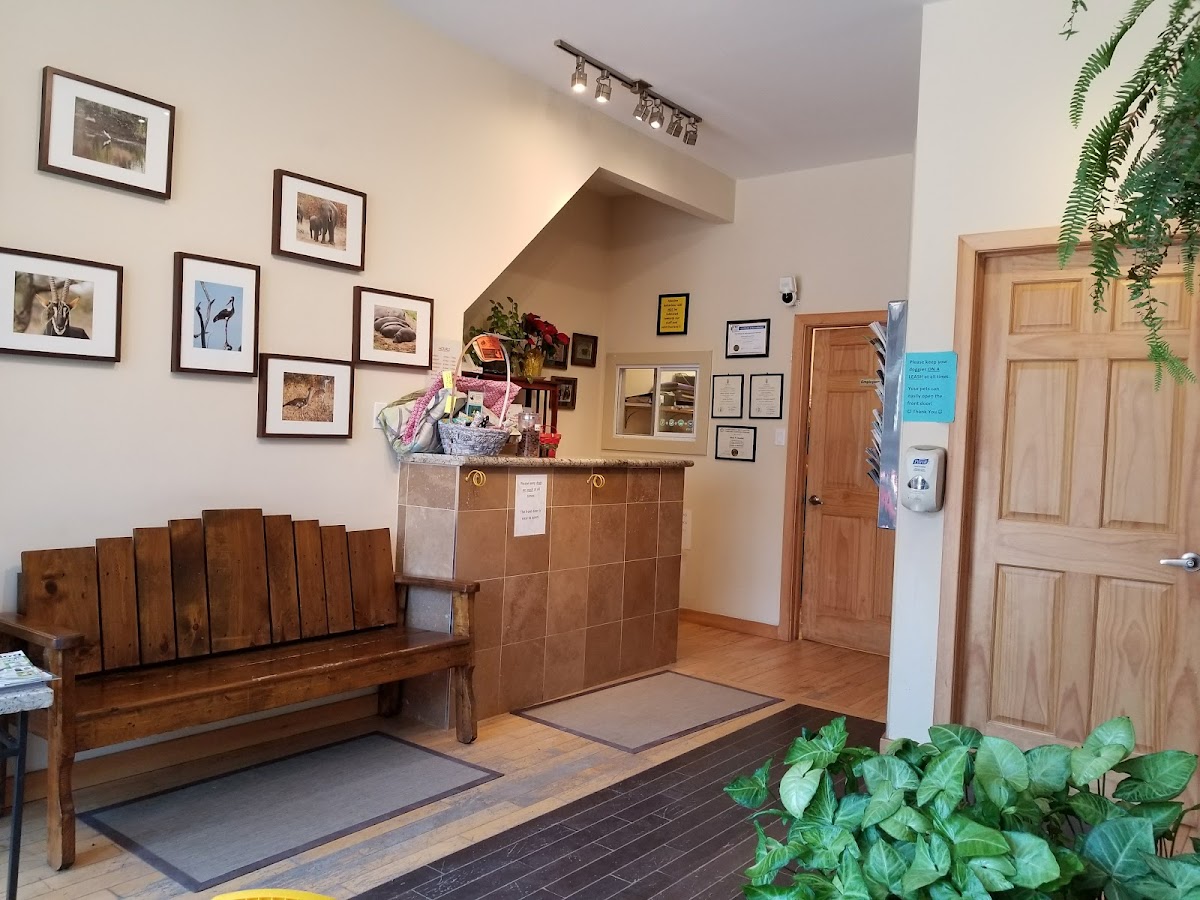 Clean reception area at Bathurst-Dupont Animal Hospital